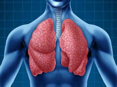 砂肺是什麼
